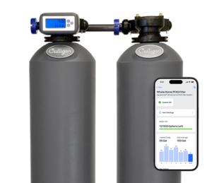 PFAS System